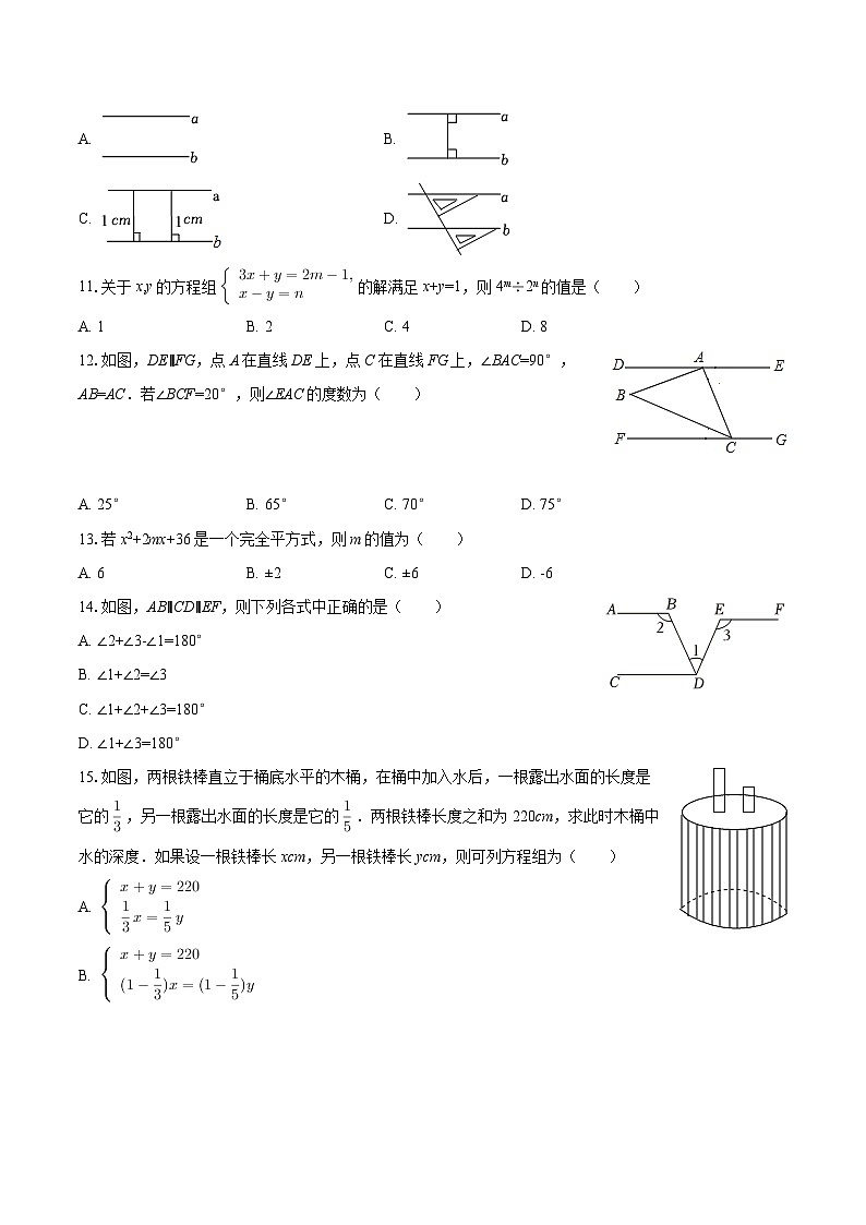 2024-2025学年河北省石家庄外国语二中七年级（下）期中数学试卷-自定义类型第3页
