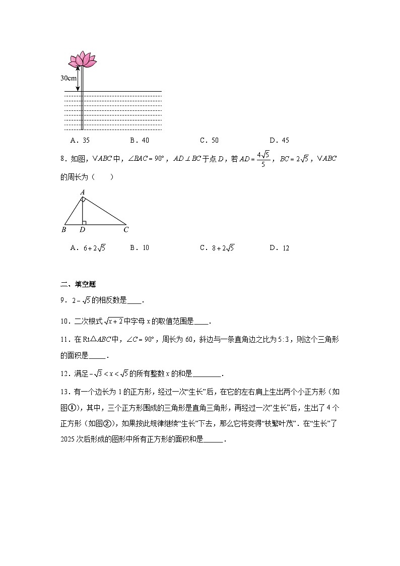 2025-2026学年四川省成都市武侯区玉林中学八年级上学期10月月考数学试题第2页