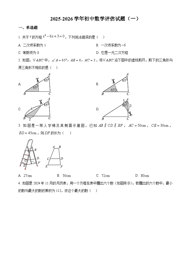 山东省聊城市茌平区茌山中学2025-2026学年九年级上学期第一次月考数学试题（原卷版）-A4第1页