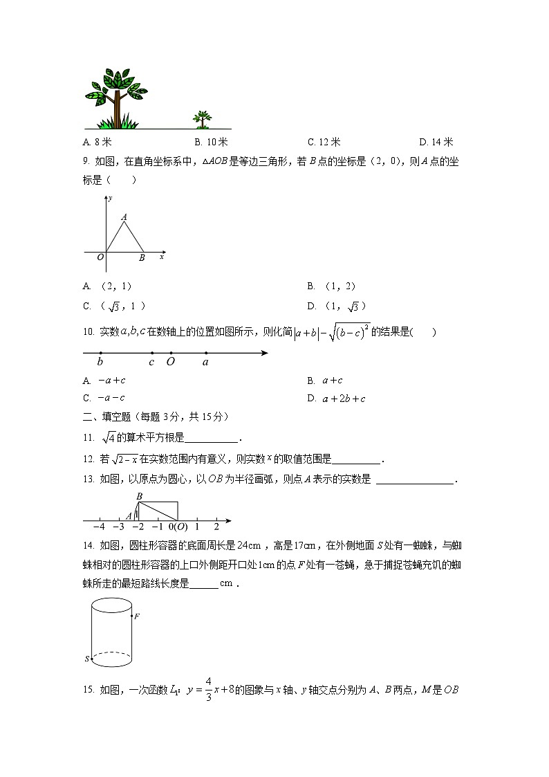 广东省深圳市宝安区2024-2025学年八年级上学期期中考试数学试卷（学生版）第2页