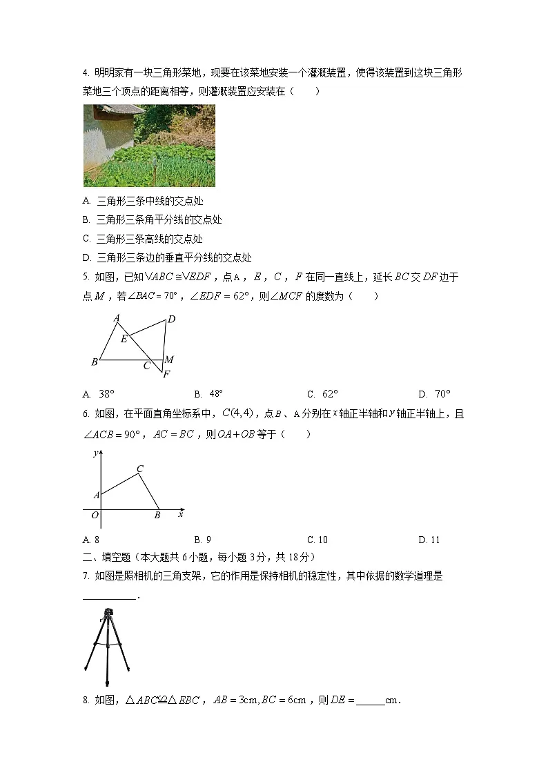 江西省赣州市于都县2024-2025学年八年级上学期11月期中考试数学试卷（学生版）第2页