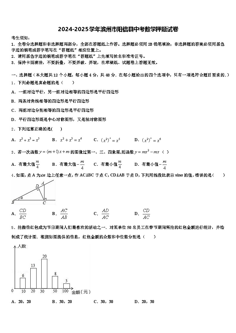2024-2025学年滨州市阳信县中考数学押题试卷含解析第1页
