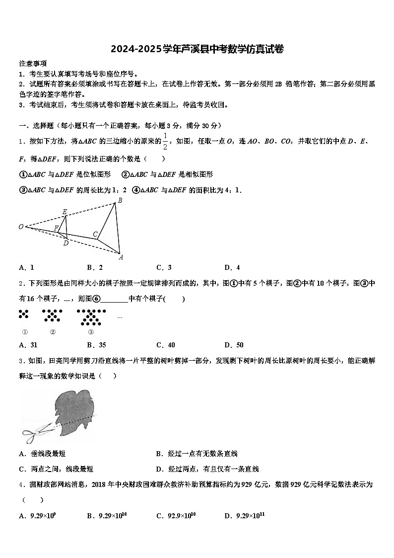 2024-2025学年芦溪县中考数学仿真试卷含解析第1页