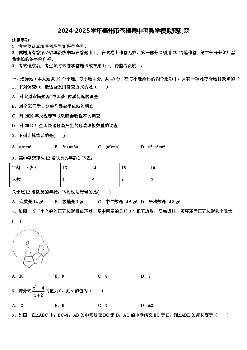 2024-2025学年梧州市苍梧县中考数学模拟预测题含解析第1页
