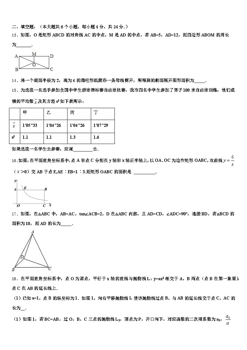 2024-2025学年盐津县中考二模数学试题含解析第3页
