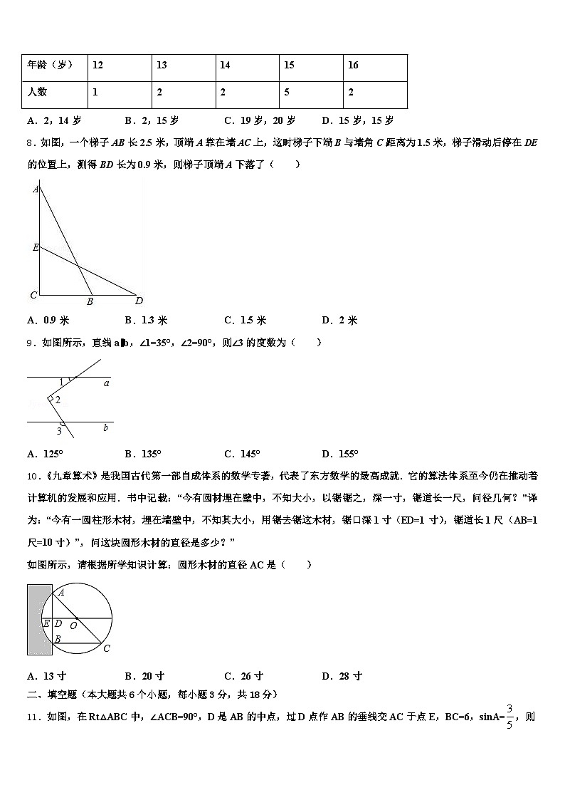 2025届贵州省黔东南苗族侗族自治州麻江县中考数学对点突破模拟试卷含解析第2页