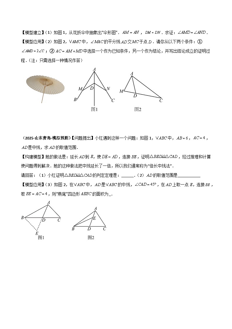专题06 全等三角形模型之倍长中线与截长补短（几何模型讲义）数学人教版2024八年级上册（原卷版）第2页