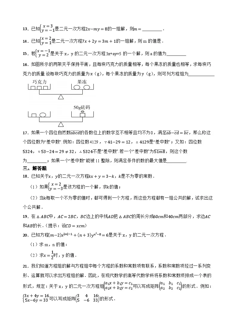 5.1认识二元一次方程组随堂练习 北师大版数学八年级上册第3页