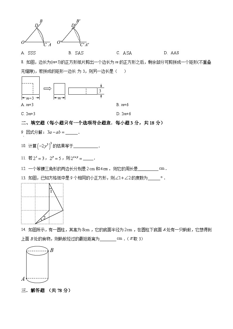 精品解析：吉林省长春市长春汽车经济技术开发区第二实验学校2024-2025学年八年级上学期期中考试数学试题（原卷版）第2页