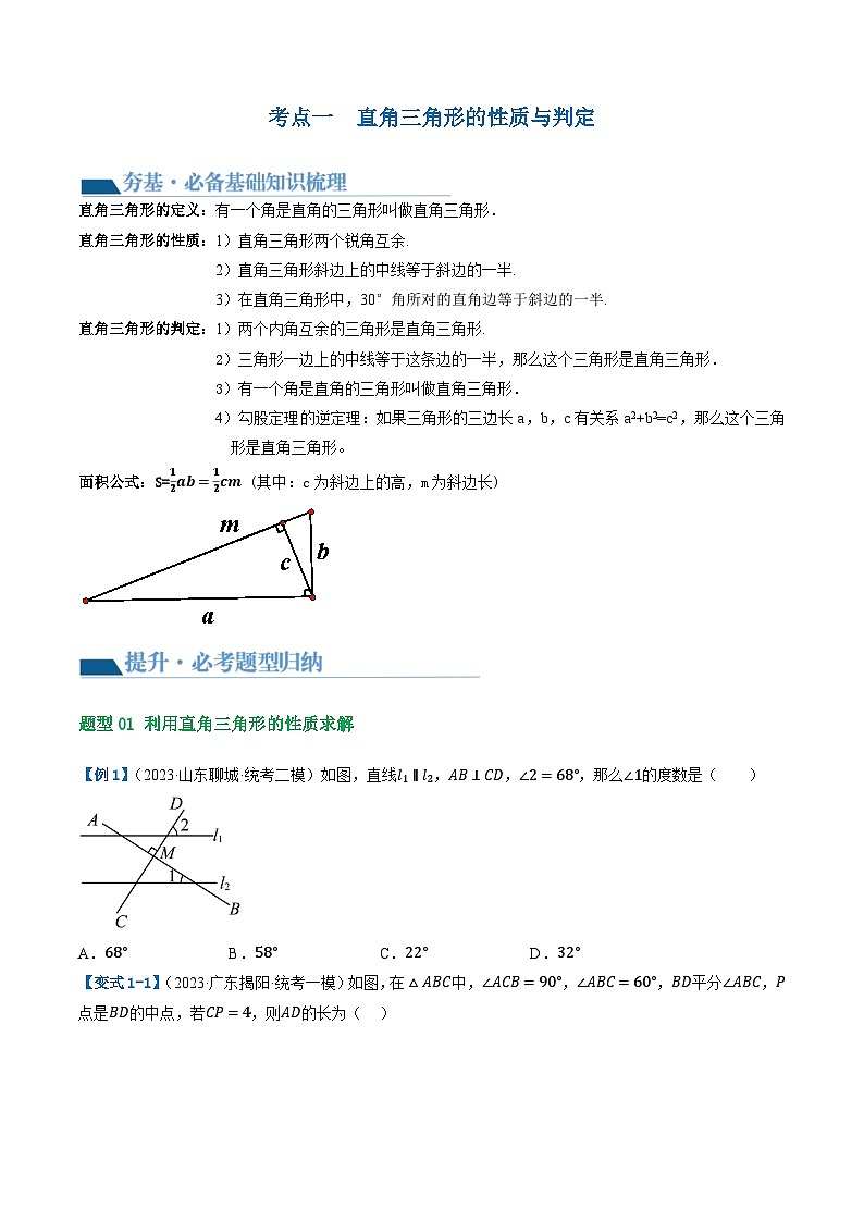 通用版【中考数学】精品【二轮复习】第19讲 直角三角形（讲义）（原卷版）第3页