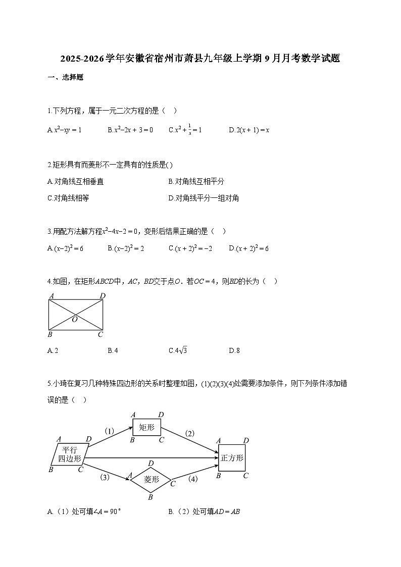2025~2026学年安徽省宿州市萧县九年级上册9月月考数学试题（含答案）第1页