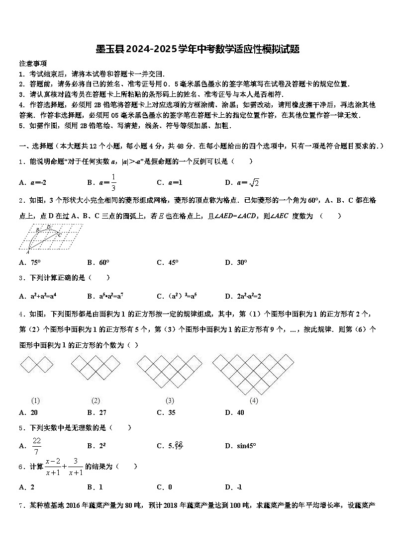 墨玉县2024-2025学年中考数学适应性模拟试题含解析第1页