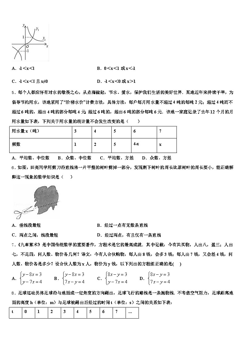 2025年涡阳县中考五模数学试题含解析第2页