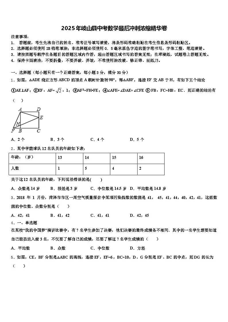 2025年岐山县中考数学最后冲刺浓缩精华卷含解析第1页