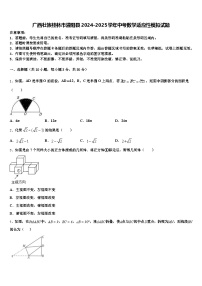 广西壮族桂林市灌阳县2024-2025学年中考数学适应性模拟试题含解析