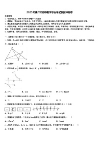 2025年焦作市初中数学毕业考试模拟冲刺卷含解析