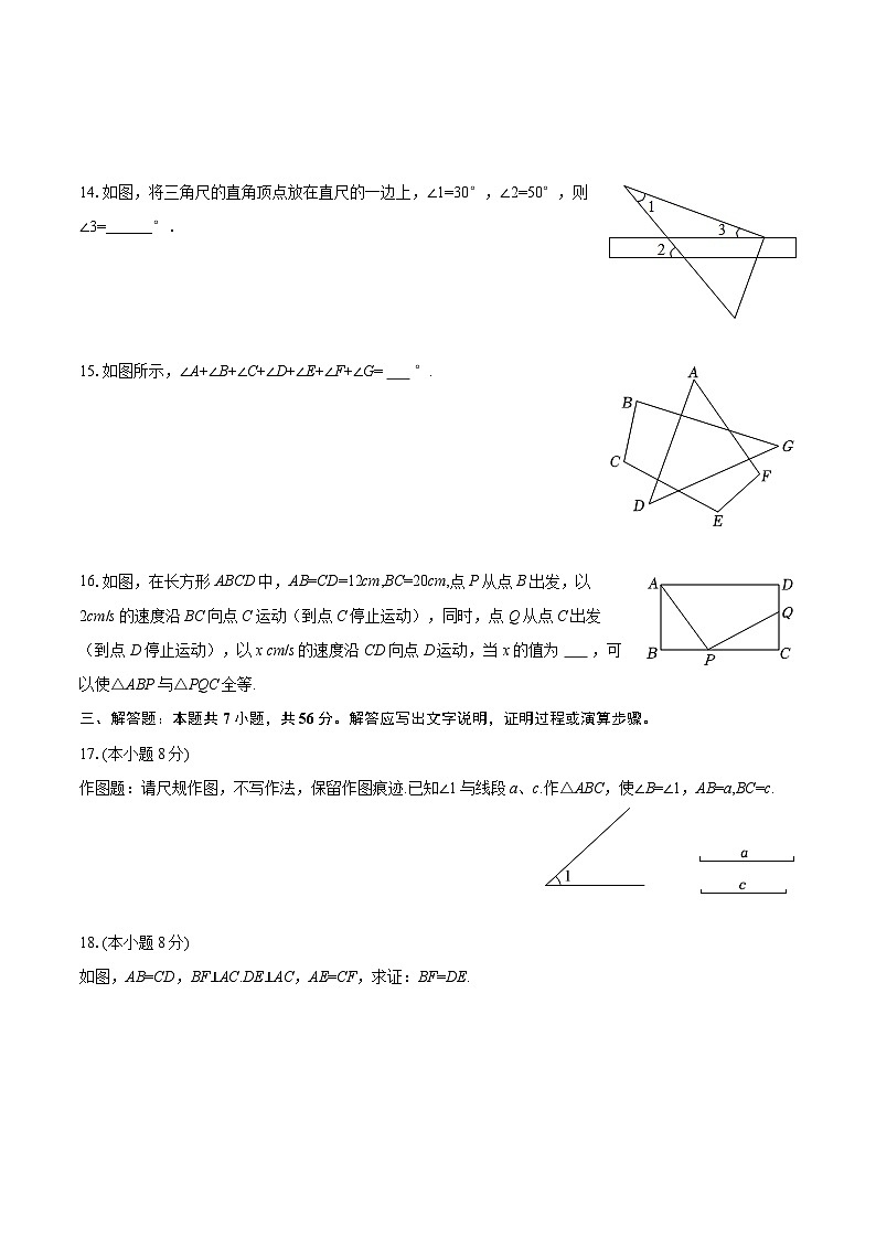 2025-2026学年山东省聊城市莘县甘泉学校八年级（上）月考数学试卷（9月份）-自定义类型第3页