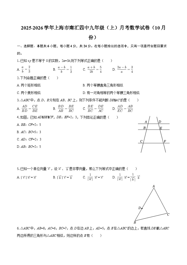 2025-2026学年上海市南汇四中九年级（上）月考数学试卷（10月份）-自定义类型第1页