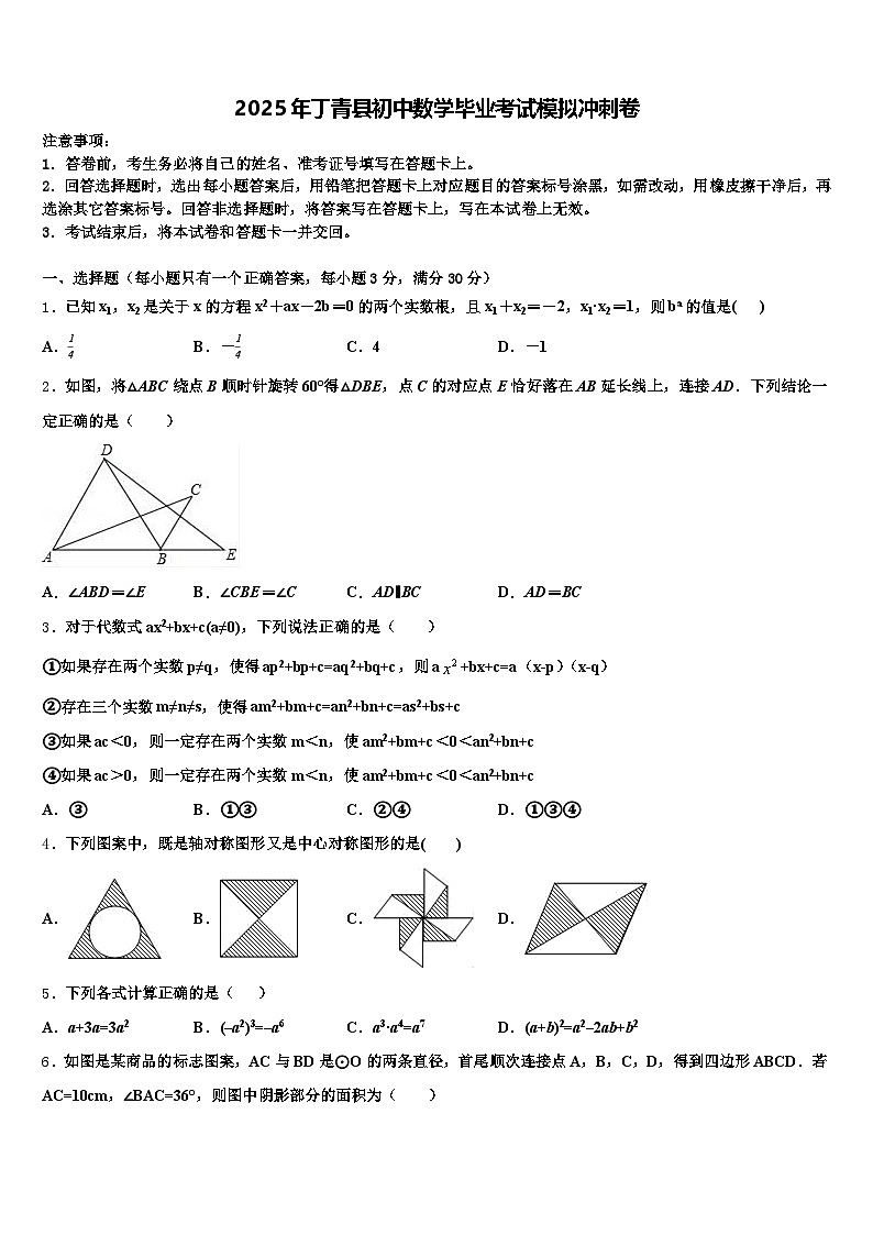 2025年丁青县初中数学毕业考试模拟冲刺卷含解析第1页