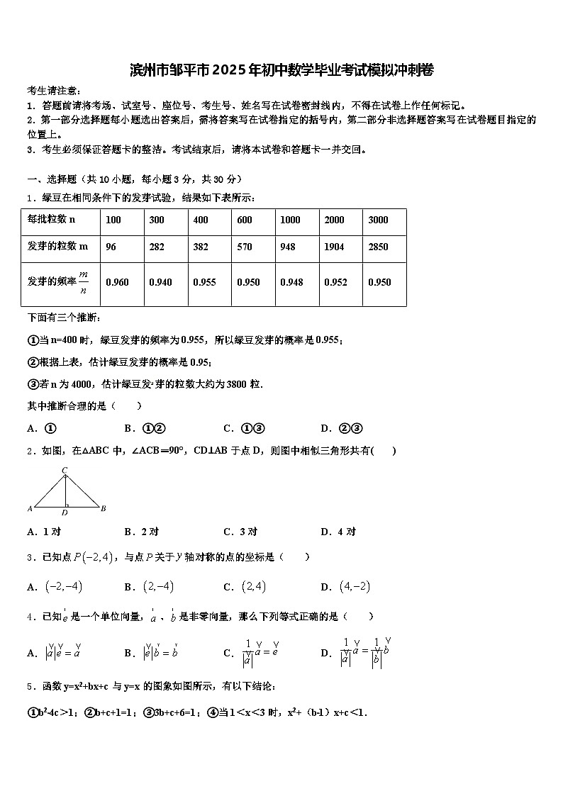 滨州市邹平市2025年初中数学毕业考试模拟冲刺卷含解析第1页