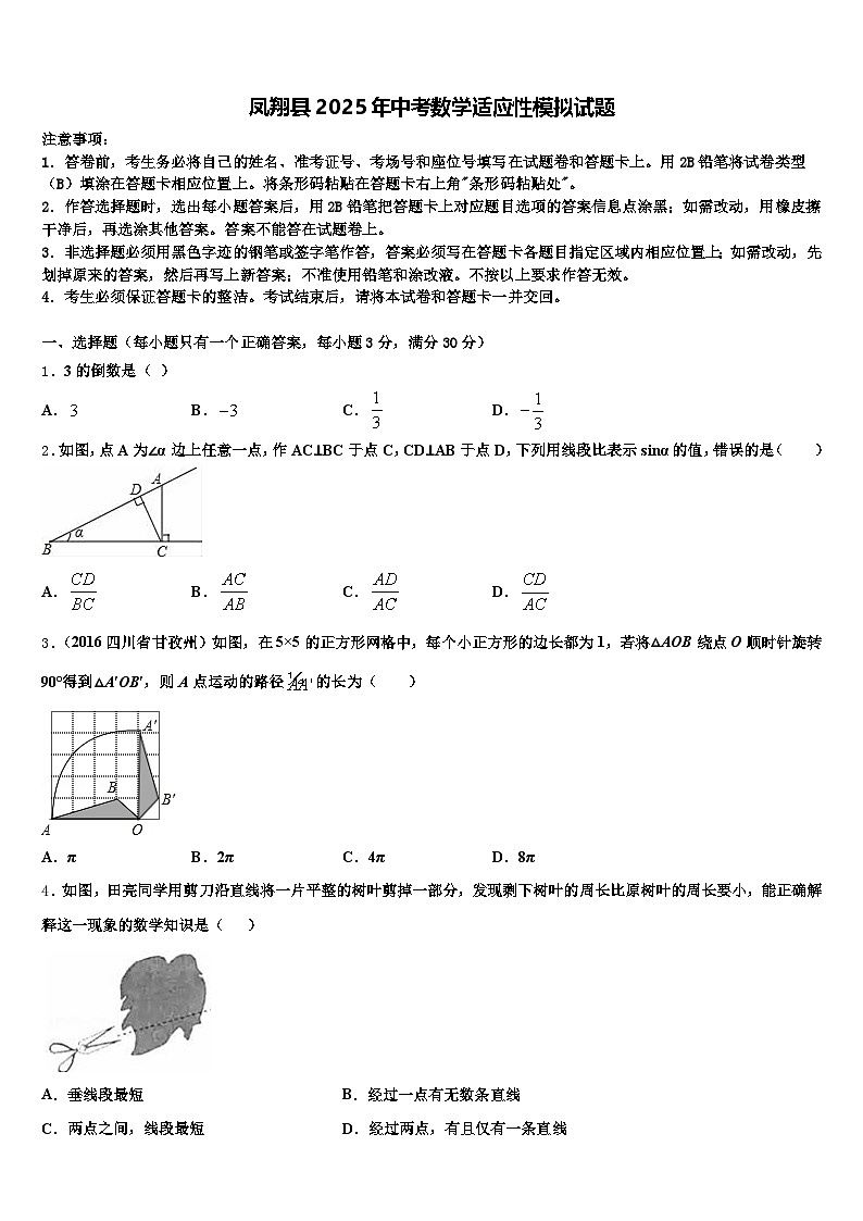 凤翔县2025年中考数学适应性模拟试题含解析第1页