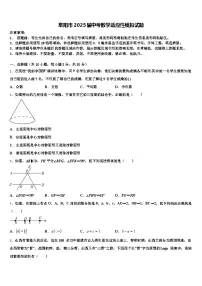 阜阳市2025届中考数学适应性模拟试题含解析