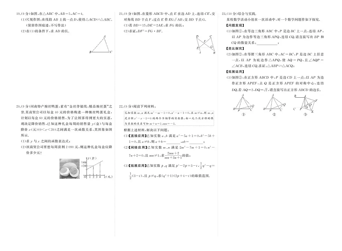 2025~2026学年（华东师大版）九年级上册期中数学检测试卷（含答案）第2页