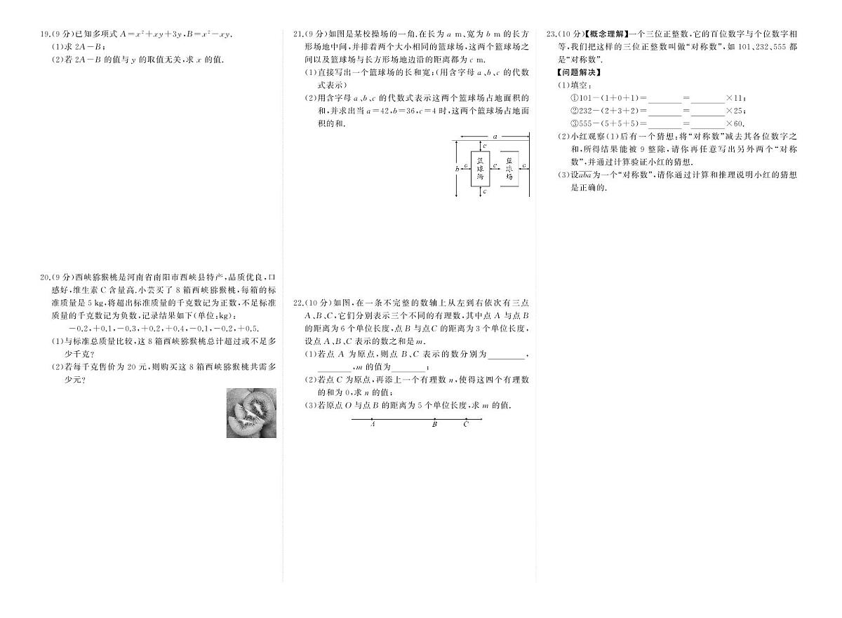 2025~2026学年（华东师大版）七年级上册期中数学检测试卷（含答案）第2页