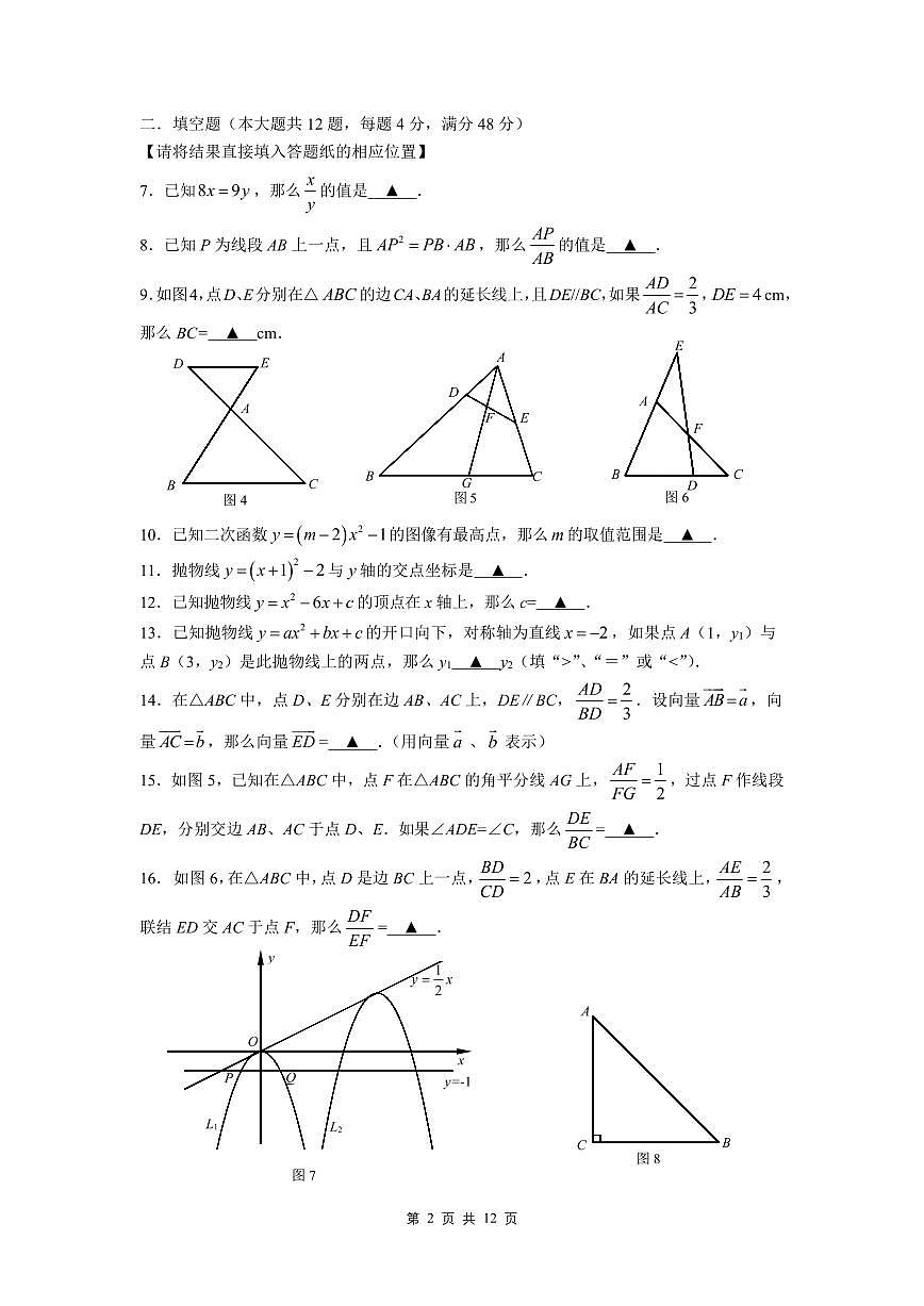 2025年上海市普陀区初三上学期期中数学试卷和答案第2页