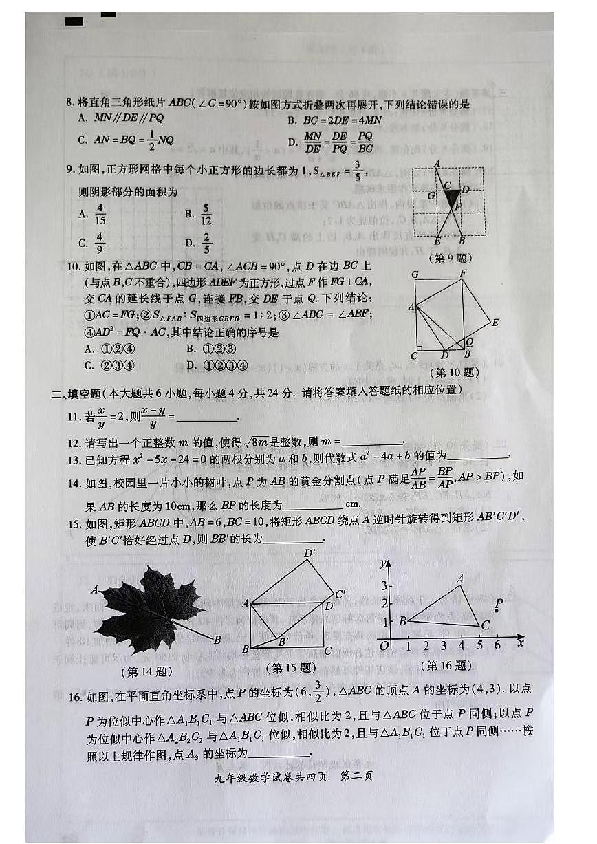 福建省漳州市东山县2025-2026学年九年级上学期期中考试数学试卷第2页