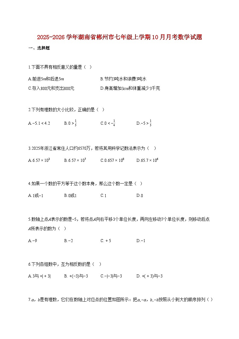 2025~2026学年湖南省郴州市七年级上册10月月考数学试题（含解析）第1页