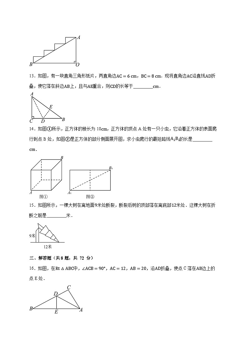 2025_2026学年（苏科版）数学八年级上册第三章 勾股定理 单元测试基础卷 [有答案]第3页