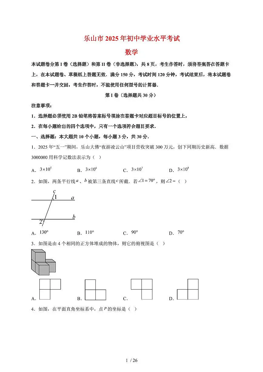 2025年四川省乐山市【中考数学】试题（含解析）第1页