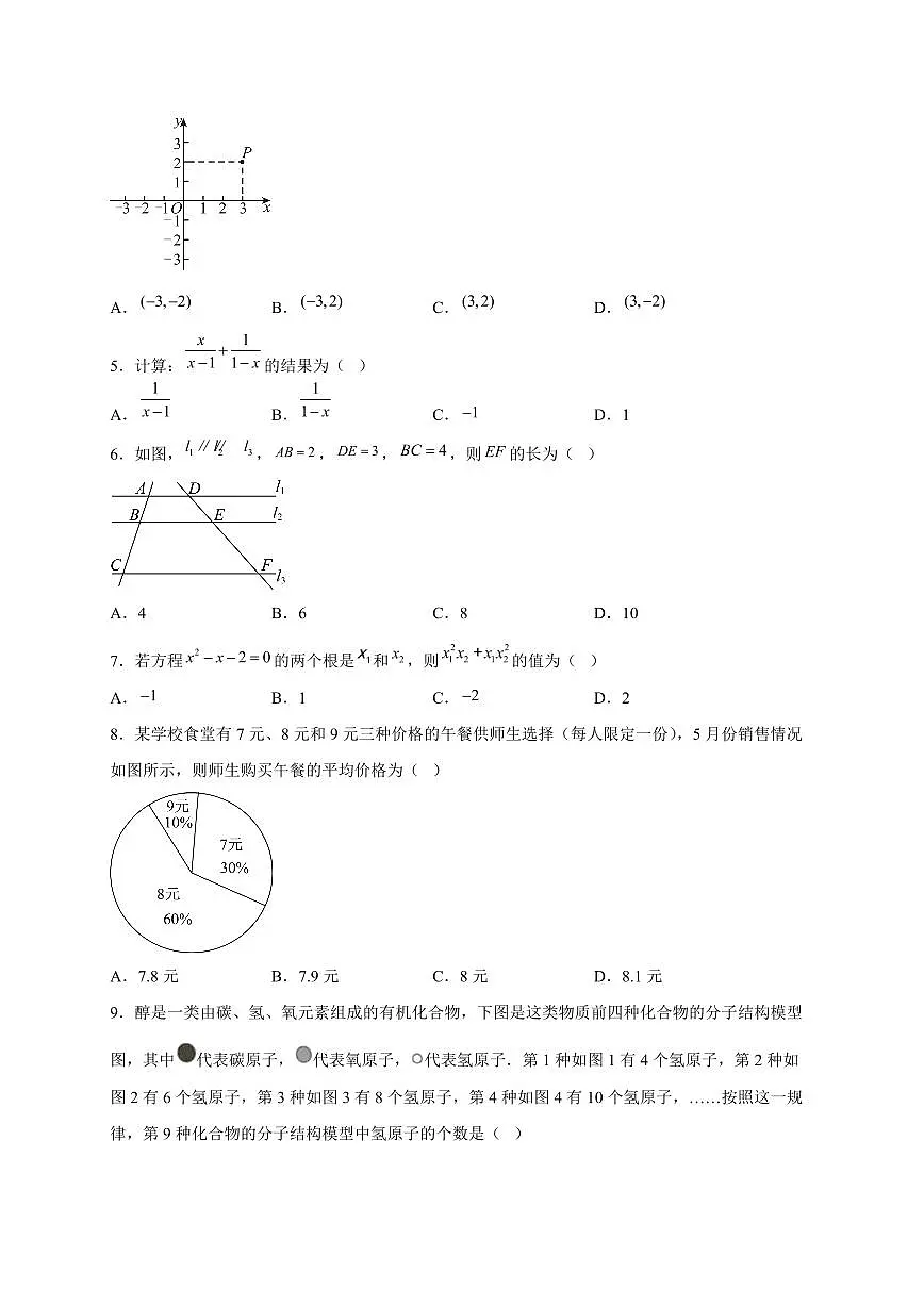 2025年四川省乐山市【中考数学】试题（含解析）第2页