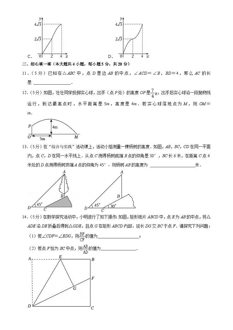 安徽省阜阳市临泉县2024-2025学年九年级上学期期末数学试卷-A4第3页