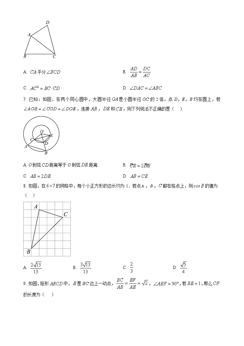 安徽省淮南市寿县四校联考九年级上学期1月期末数学试题（原卷版）-A4第2页