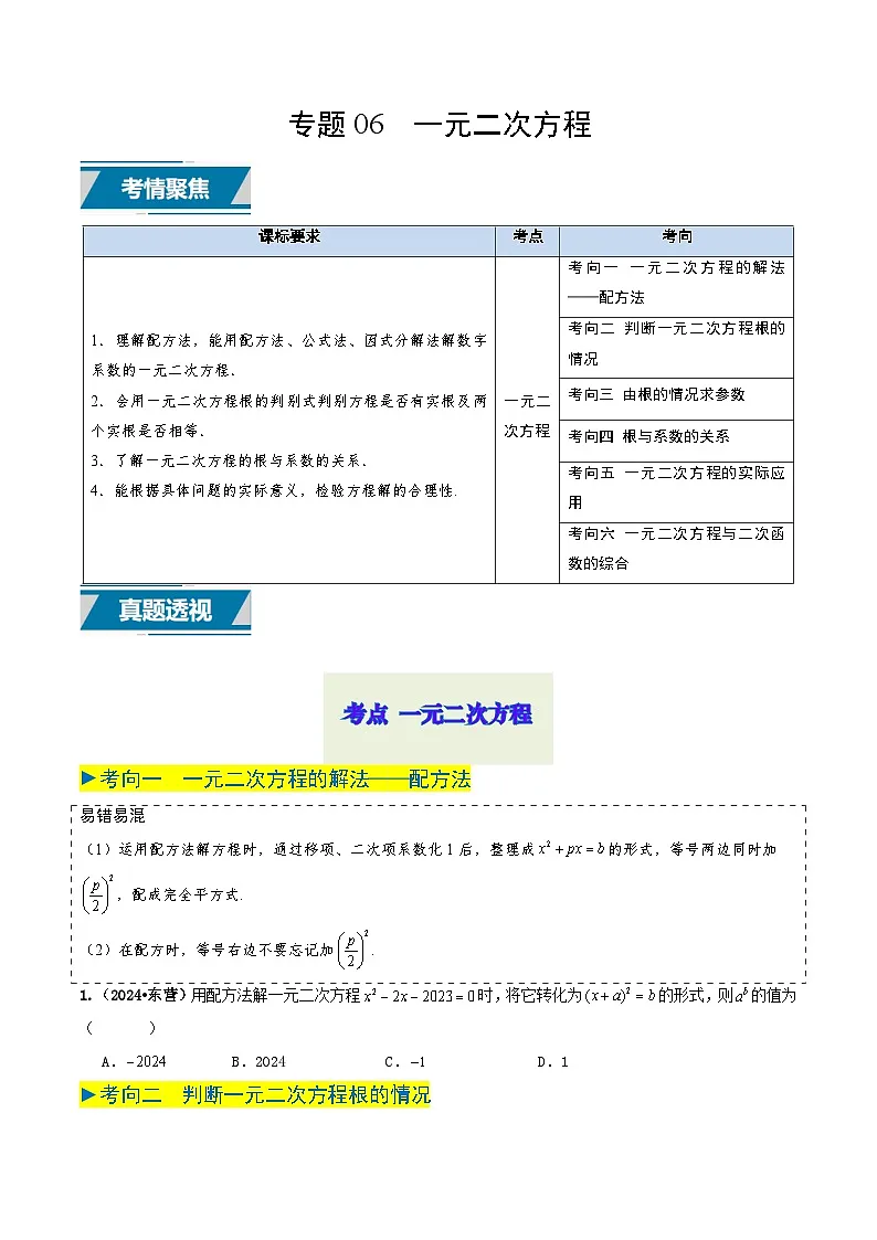 专题06 一元二次方程（原卷版） 第1页