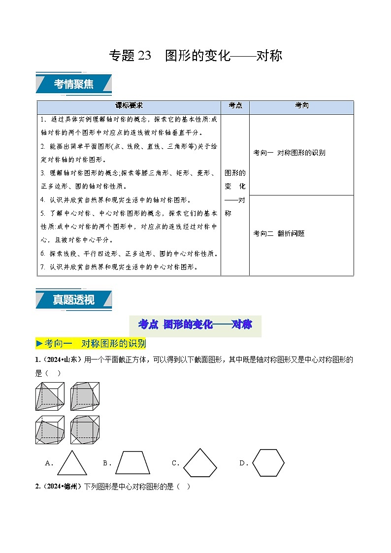 专题23 图形的变化——对称（原卷版）第1页