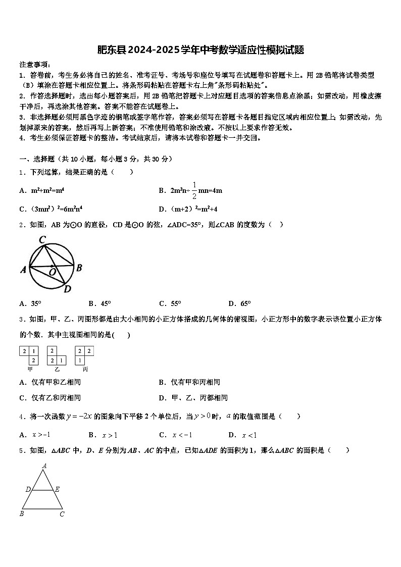 肥东县2024-2025学年中考数学适应性模拟试题含解析第1页