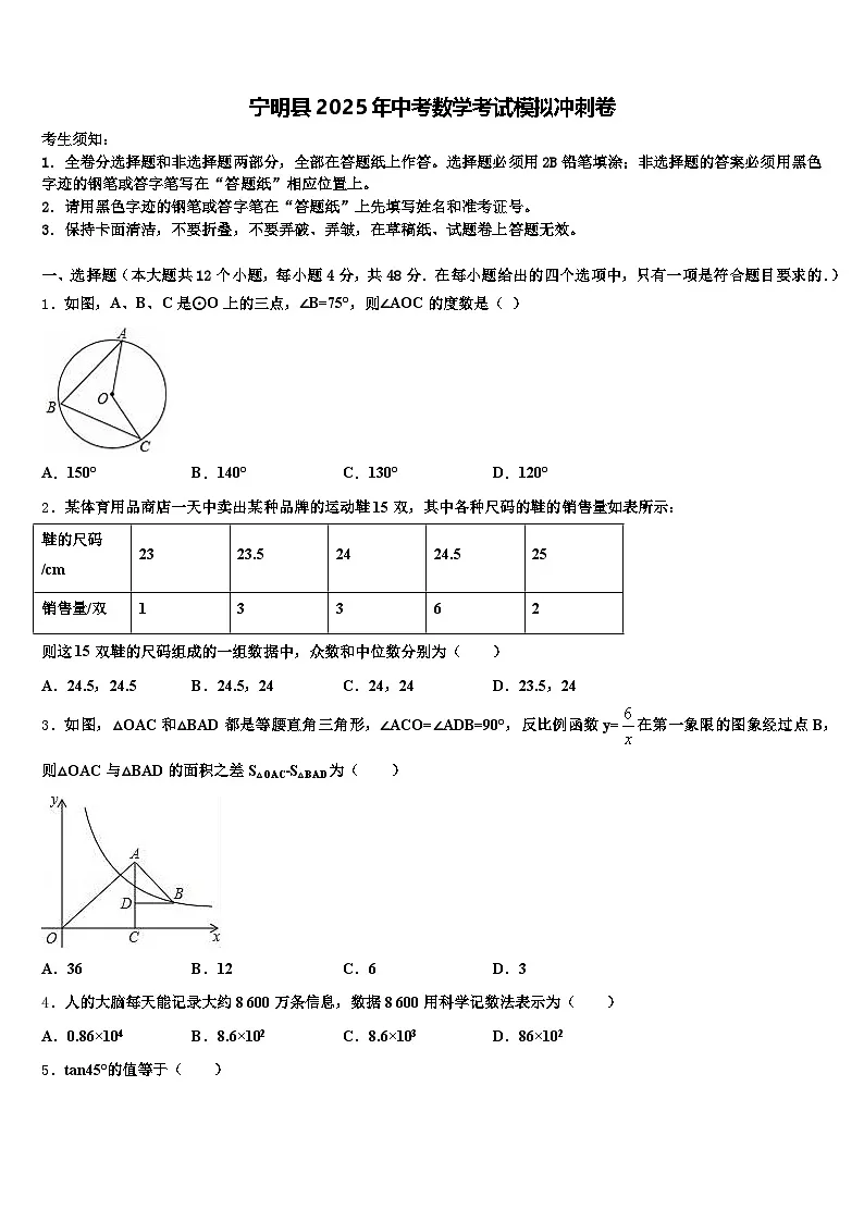 宁明县2025年中考数学考试模拟冲刺卷含解析第1页