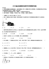 2025届山东省聊城市冠县中考冲刺卷数学试题含解析
