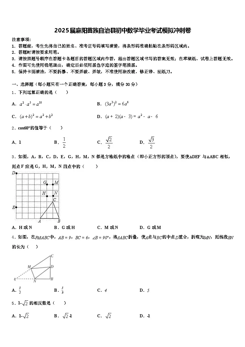 2025届麻阳苗族自治县初中数学毕业考试模拟冲刺卷含解析第1页