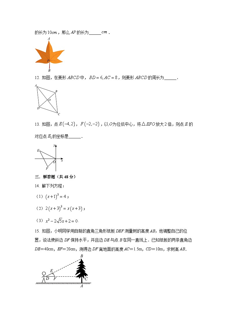 四川省成都市高新区2024-2025学年九年级上学期期中考试数学试卷（学生版）第3页