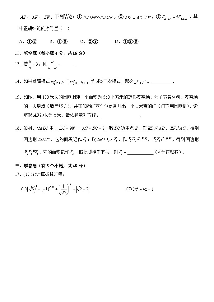 四川省内江市威远县凤翔中学2025-2026学年九年级上学期期中考试数学试题（无答案）第3页