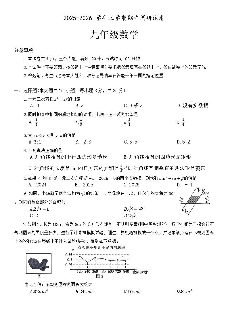 河南省平顶山市鲁山县2025-2026学年九年级上学期11月期中数学试题（含答案）第1页