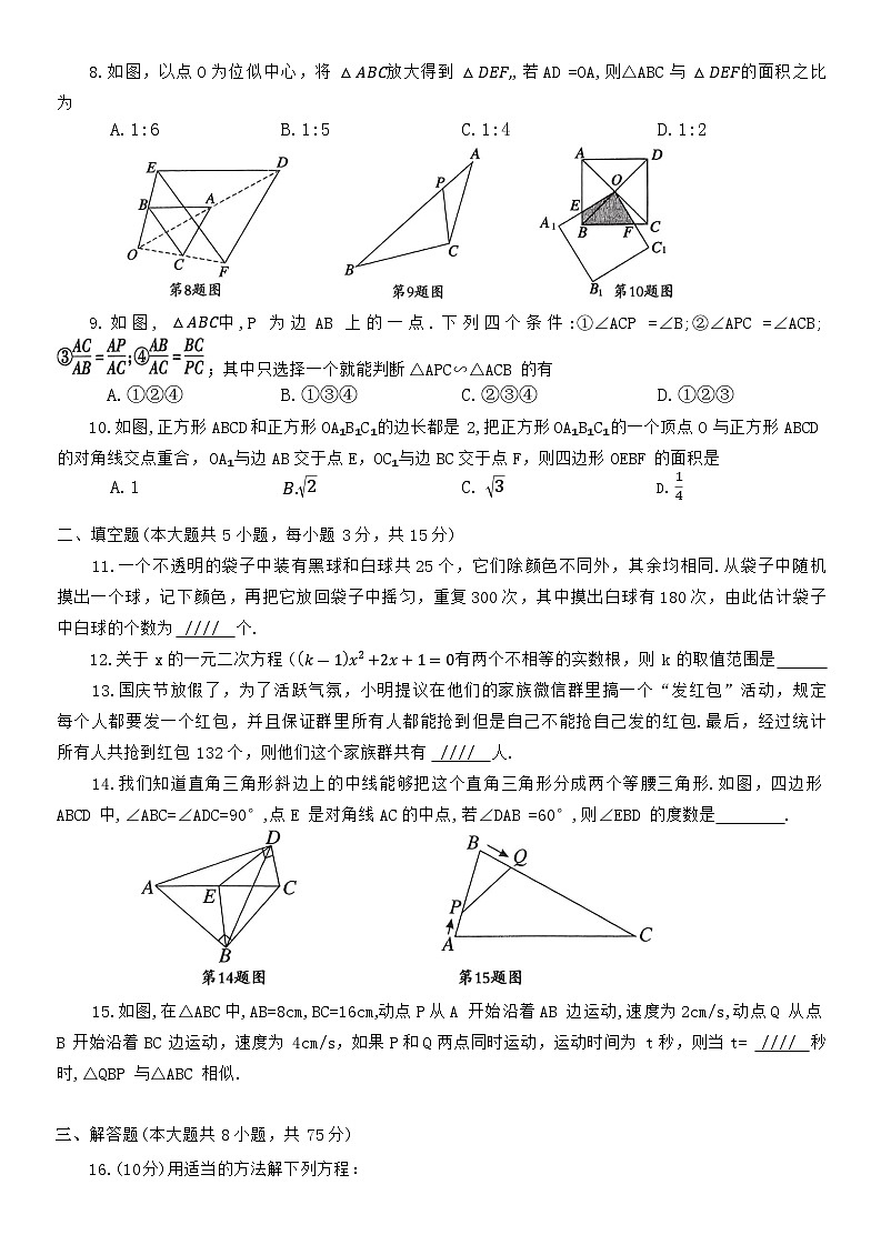 河南省平顶山市鲁山县2025-2026学年九年级上学期11月期中数学试题（含答案）第2页