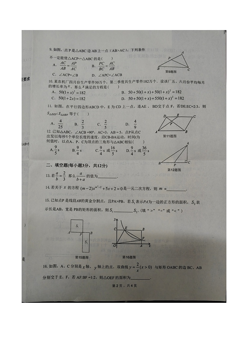 广西壮族自治区北海市合浦县2026届九年级上学期11月期中考试数学试卷（图片版）第2页