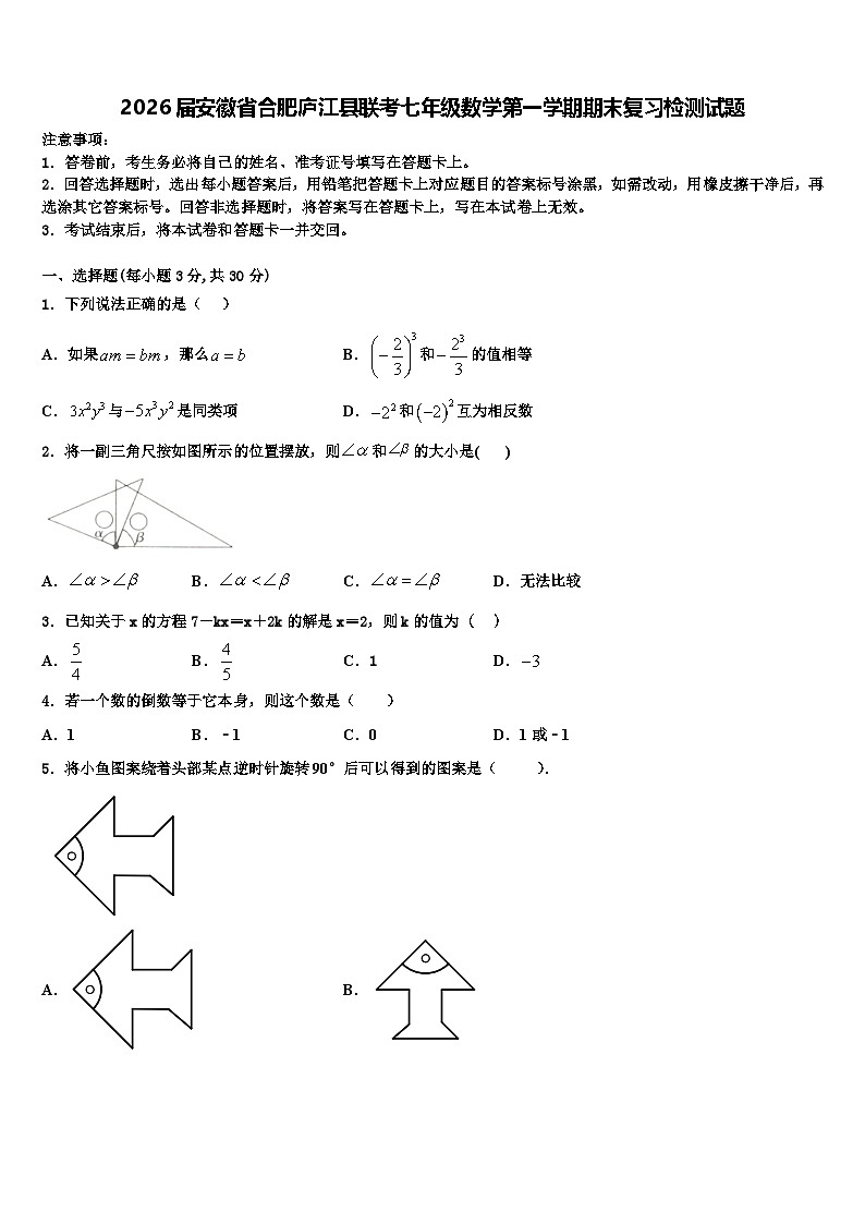 2026届安徽省合肥庐江县联考七年级数学第一学期期末复习检测试题含解析第1页