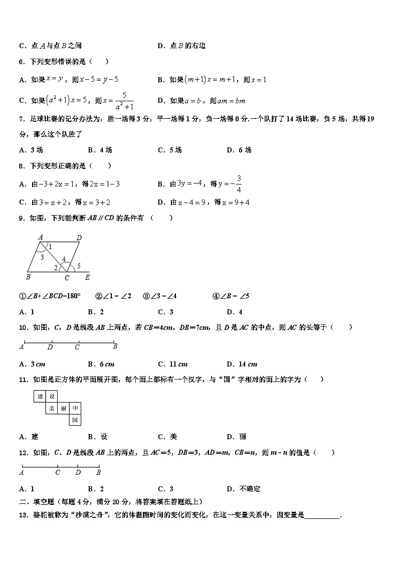 2026届安徽省滁州来安县数学七上期末教学质量检测试题含解析第2页