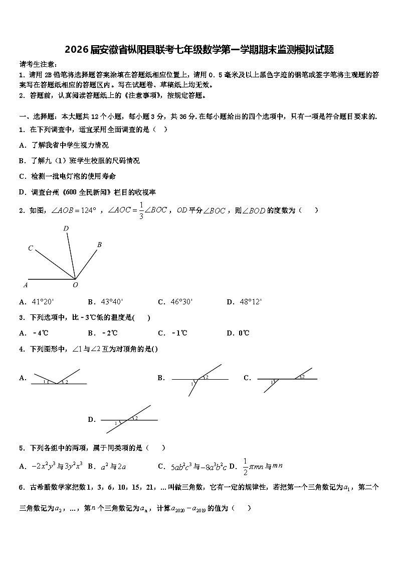 2026届安徽省枞阳县联考七年级数学第一学期期末监测模拟试题含解析第1页